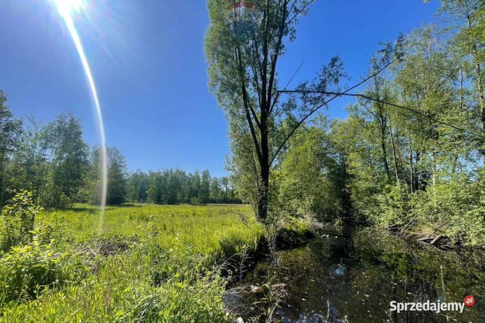 Działka ze stawem 4085m2 w Budach Michałowskich Budy Michałowskie sprzedam