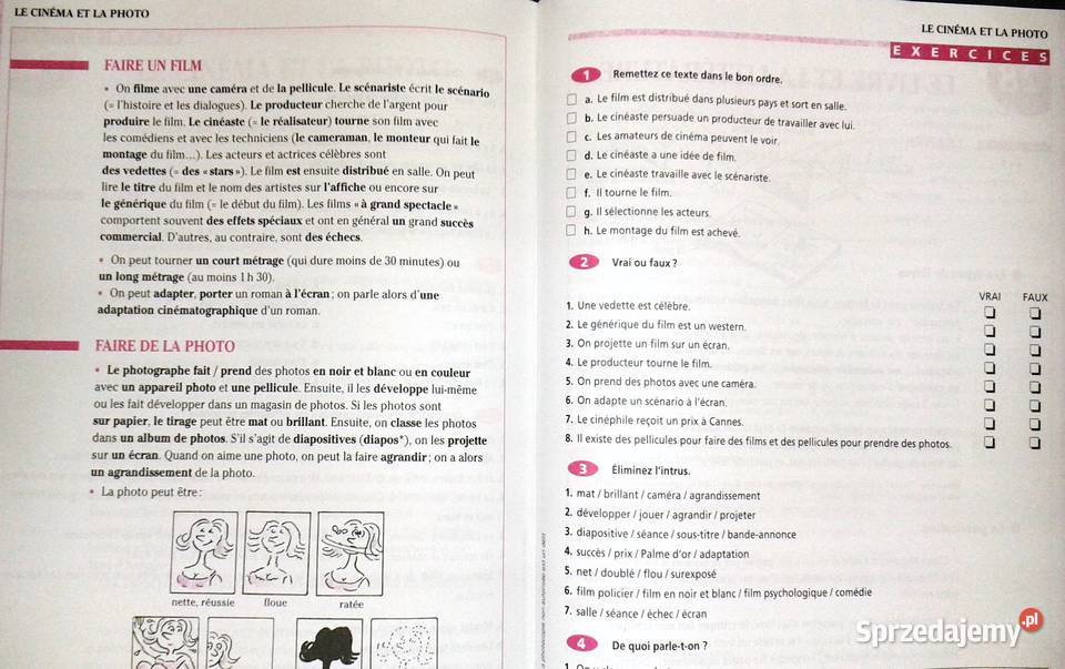 Vocabulaire Progressif du Franais avec 250