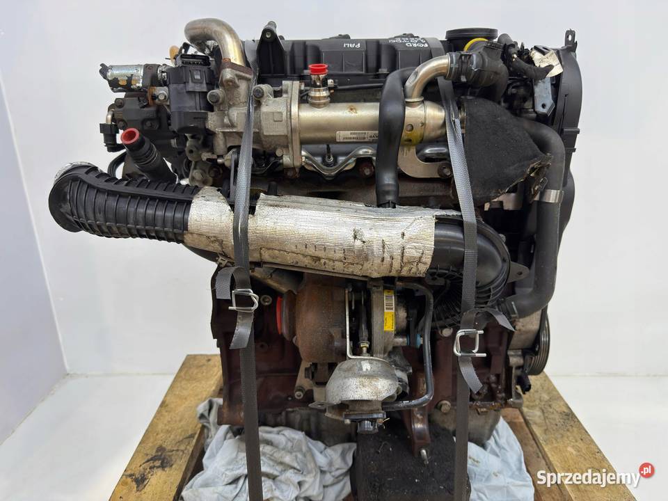 SILNIK G6DB Ford C C 20 TDCI 136 G6DA G6DD G6DG lubelskie Chełm