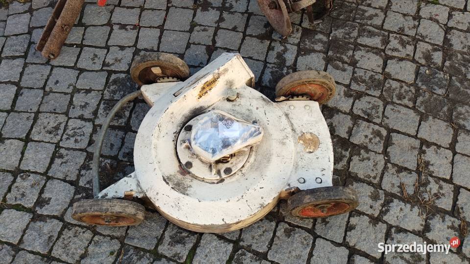 Terra Vari dzik traktorek Maciowakrze