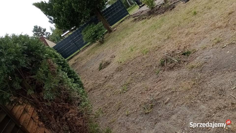 Karczowanie Czyszczenie DziałekWywóz itp ogród