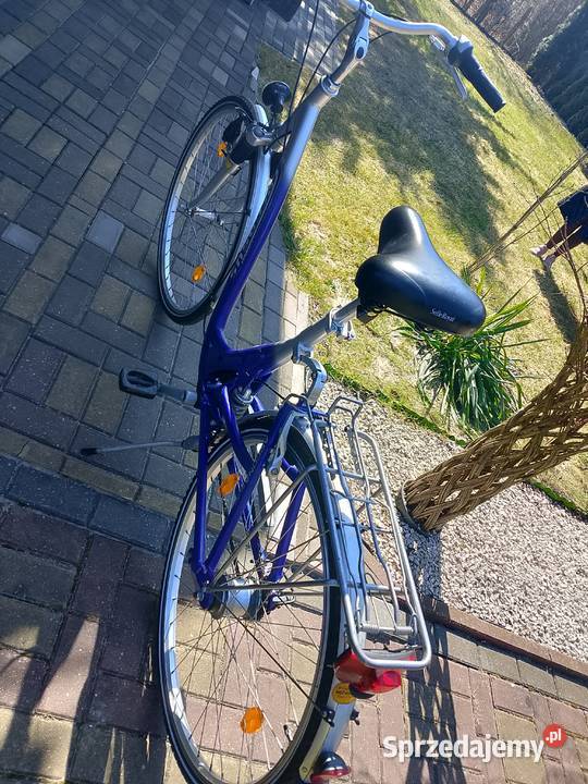 Damka 28 Pegasus wyższych Aluminium Chełm