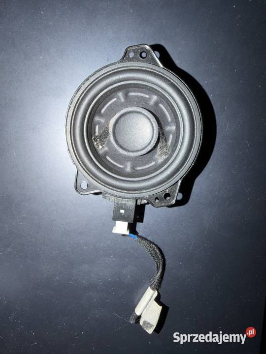 Głośniki Tesla syczki Zbójno