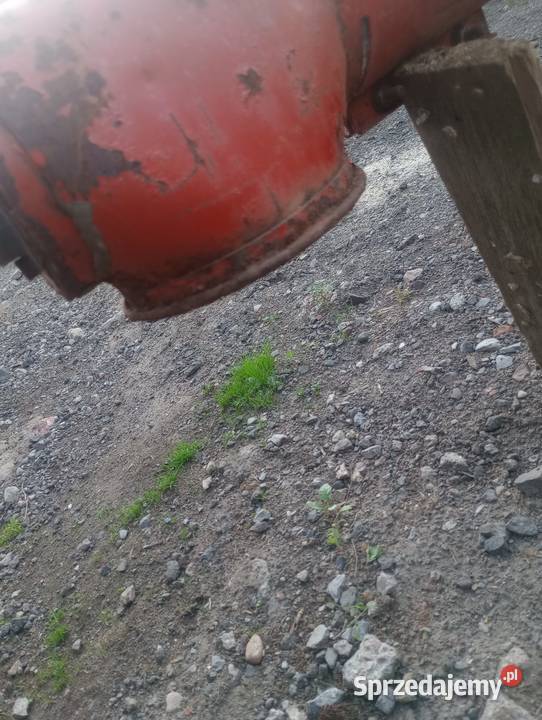 Żmijki do zboża Podajnik Kock