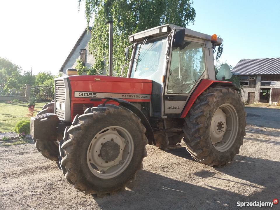 Massey Ferguson 3085 Kolonia Pęcławska
