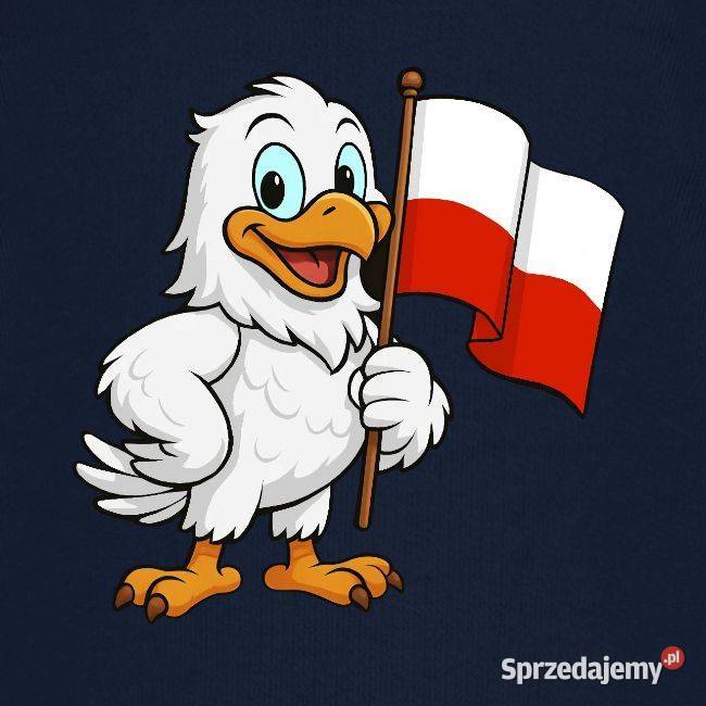 Ekologiczna patriotyczna bluza z kapturem dzieci Kraków sprzedam