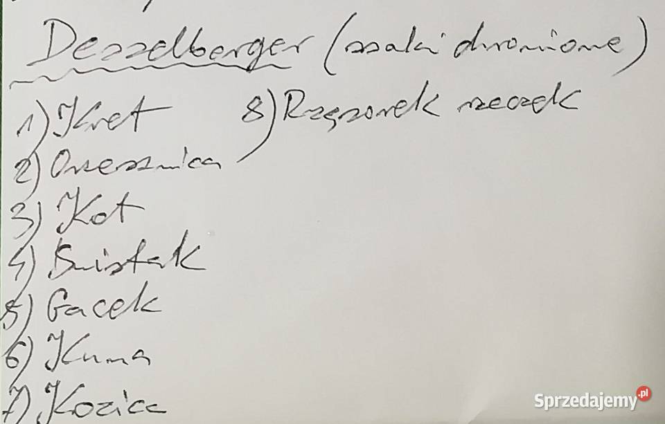 Ssaki Desselberger Kraków