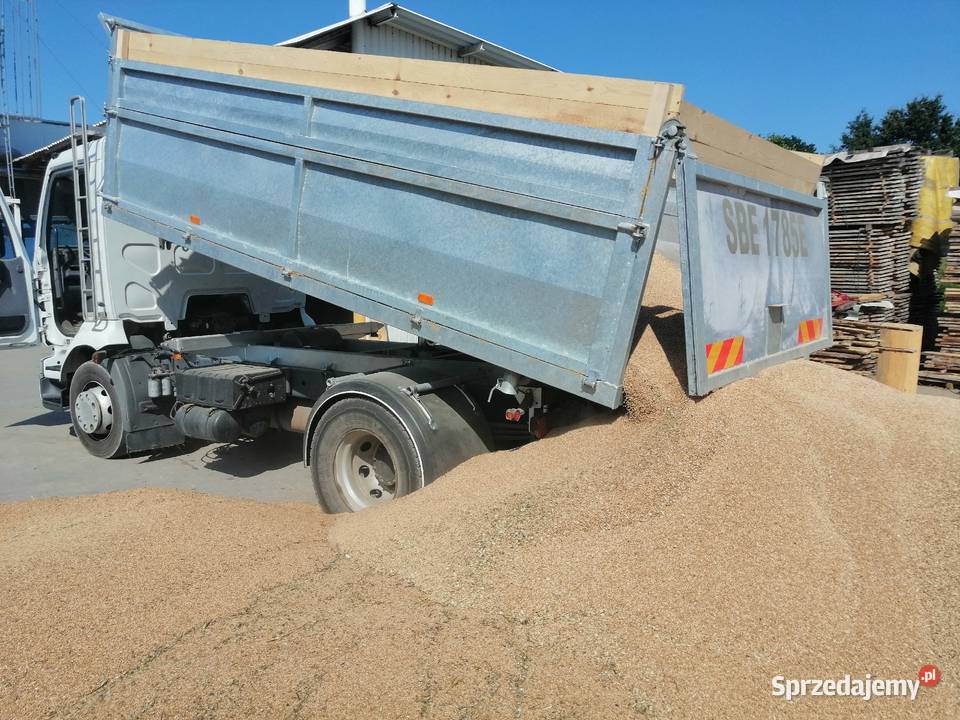 Usługi transportowe wywrotka ładowność 10 ton Żelisławice
