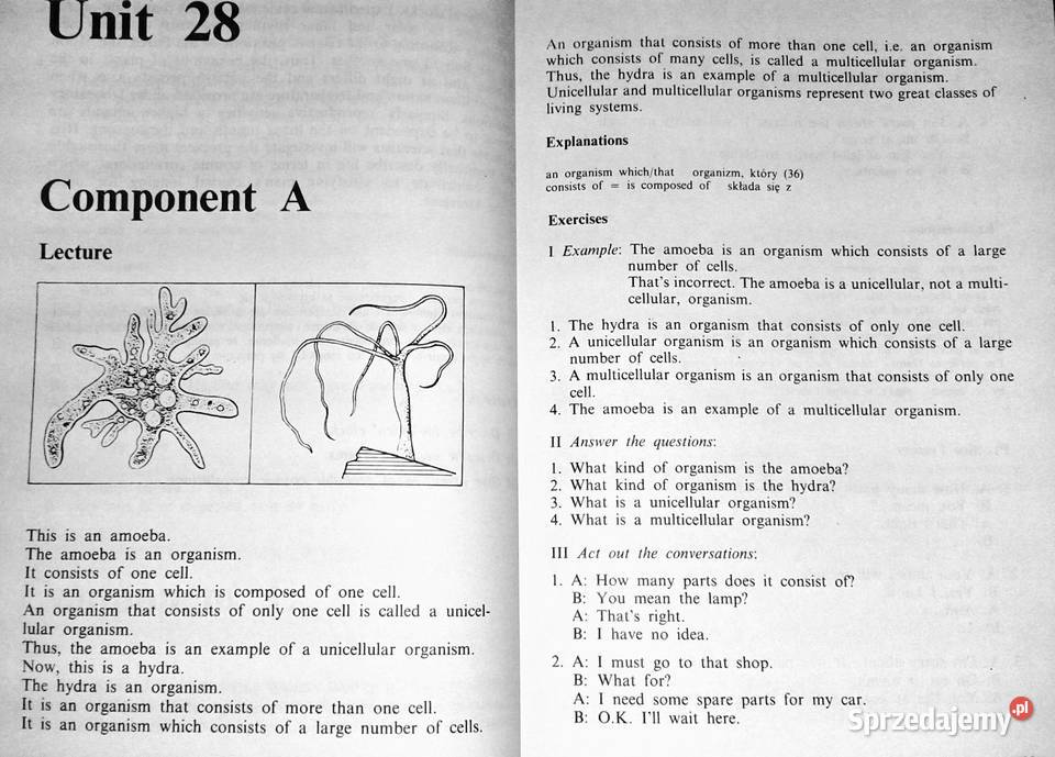 The world through English 1112 Leon Leszek Rok wydania 1990 Pozostałe Chełm sprzedam