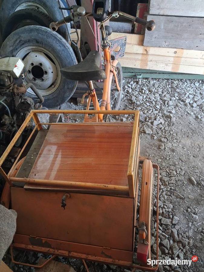 Rower wózek elektryczny Sport i Wypoczynek