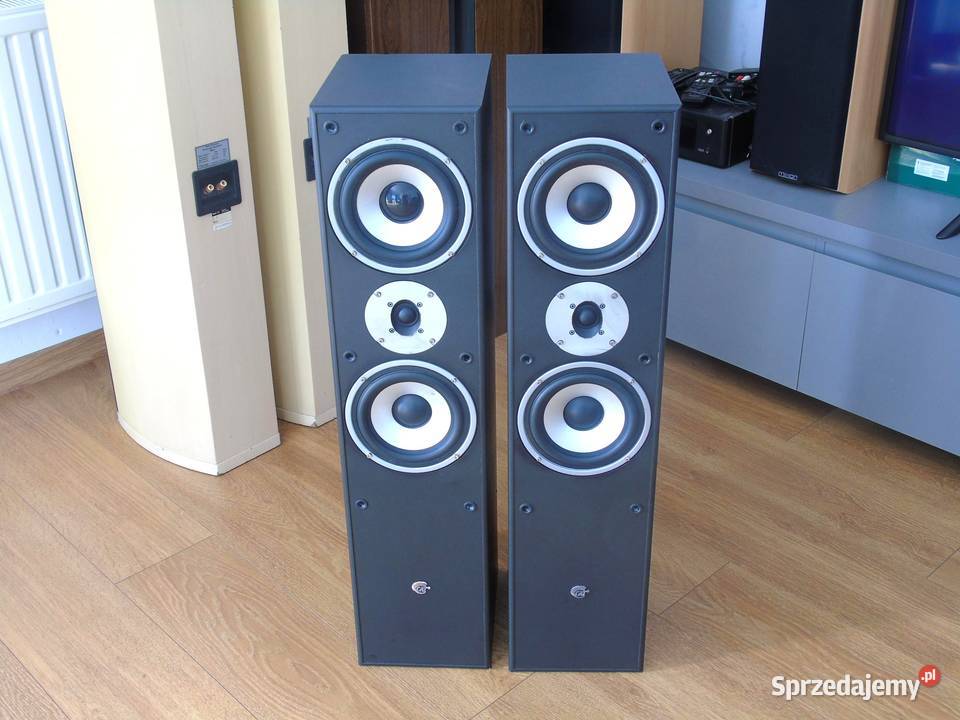 Kolumny Cat 2 x 380 wat łsprawne i ładne DOSTAWA Jasło