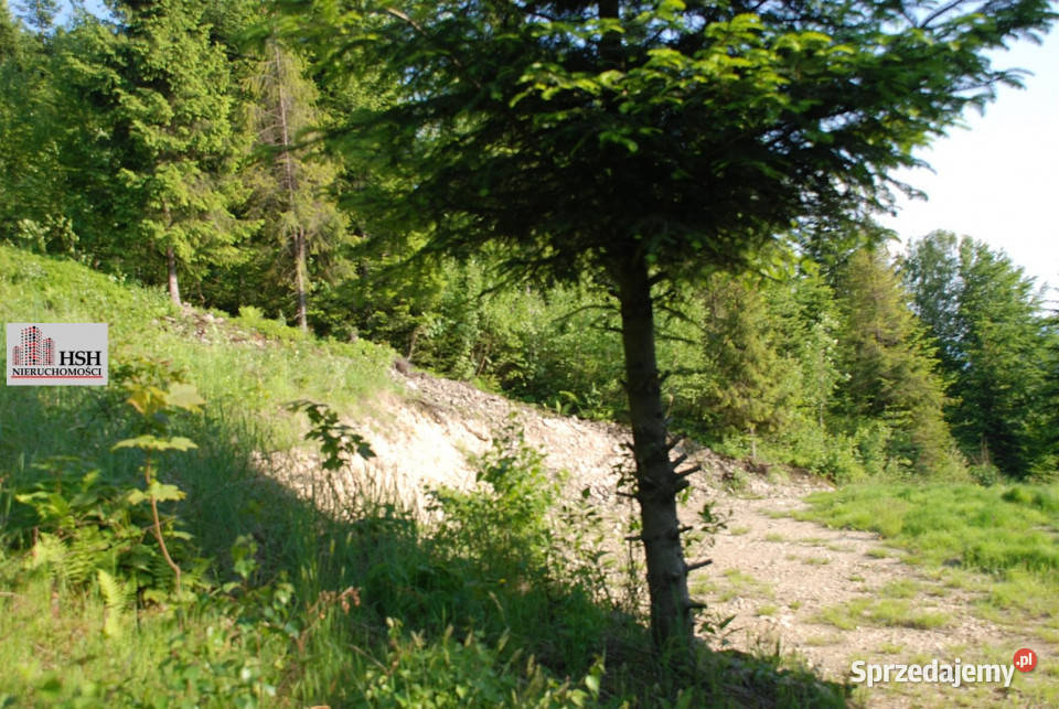 Działka do sprzedania Maków Podhalański 14000m2 małopolskie sprzedam