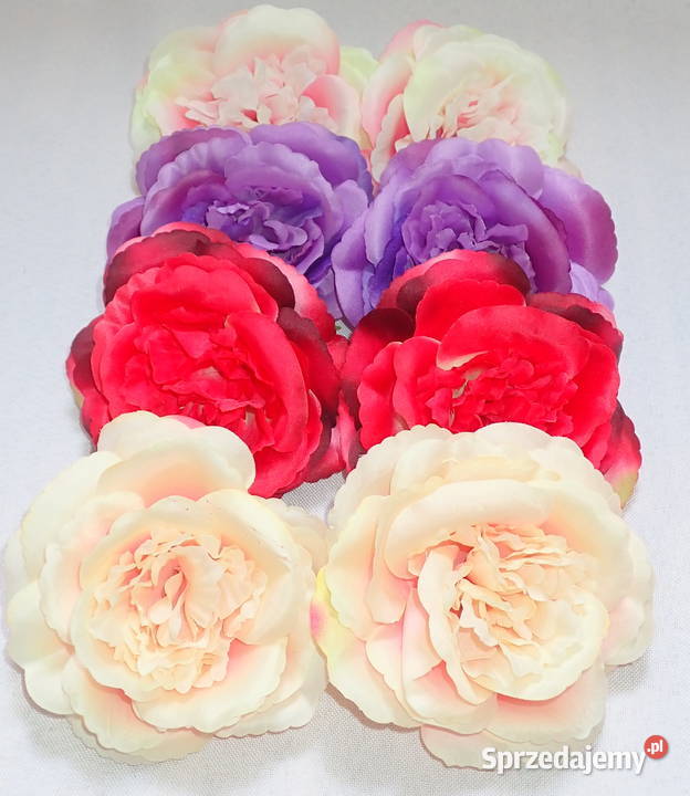 Róże rozwinięte chińskie okazałe 11 Kolory L049 śląskie Siewierz sprzedam