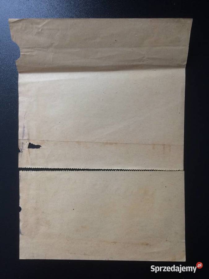 293 Świadectwo Z 1949 roku