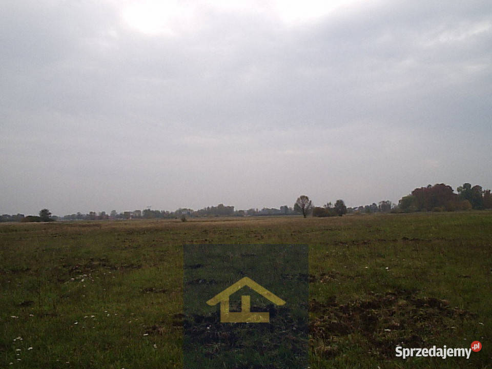 Działka w Całowaniu rolna Całowanie
