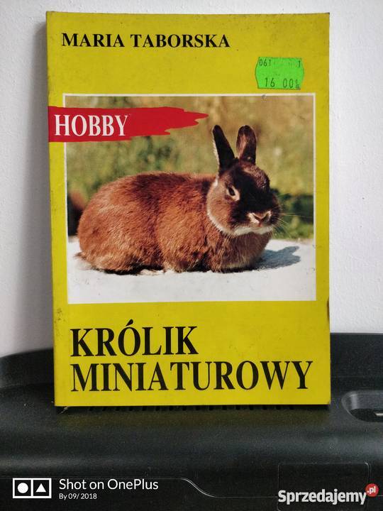 Książka zwierzęta Królik Miniaturowy opolskie Nysa
