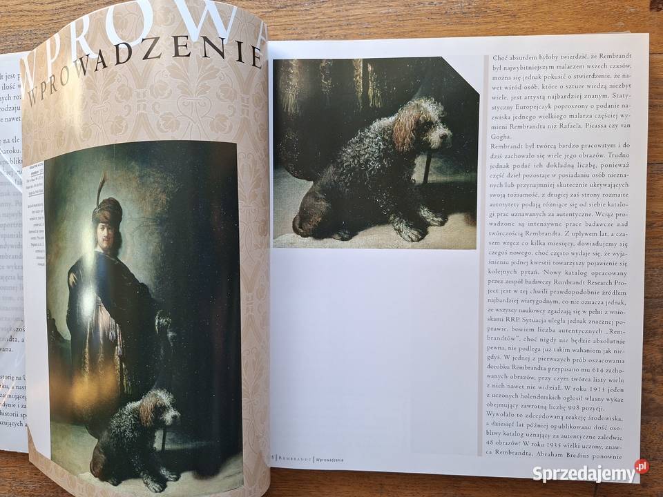 Rembrandt DM Field Arkady sztuka, kultura i etnologia Książki naukowe i popularnonaukowe Kraków