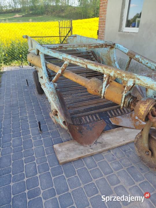 Kopaczka elewatorowa do ziemniaków Wirkowice Pierwsze sprzedam