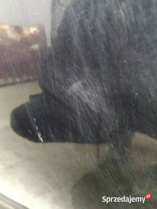 DRZWI PRAWE TYŁ CZARNE SEDAN Skoda Superb II Rok produkcji 2009