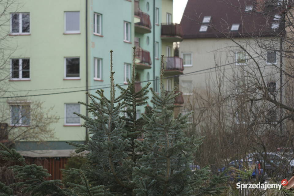 Obiektyw SIGMA 50500 mm Bielsko-Biała