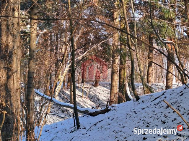 sprzedaży gruntu Żyznów 10400m2