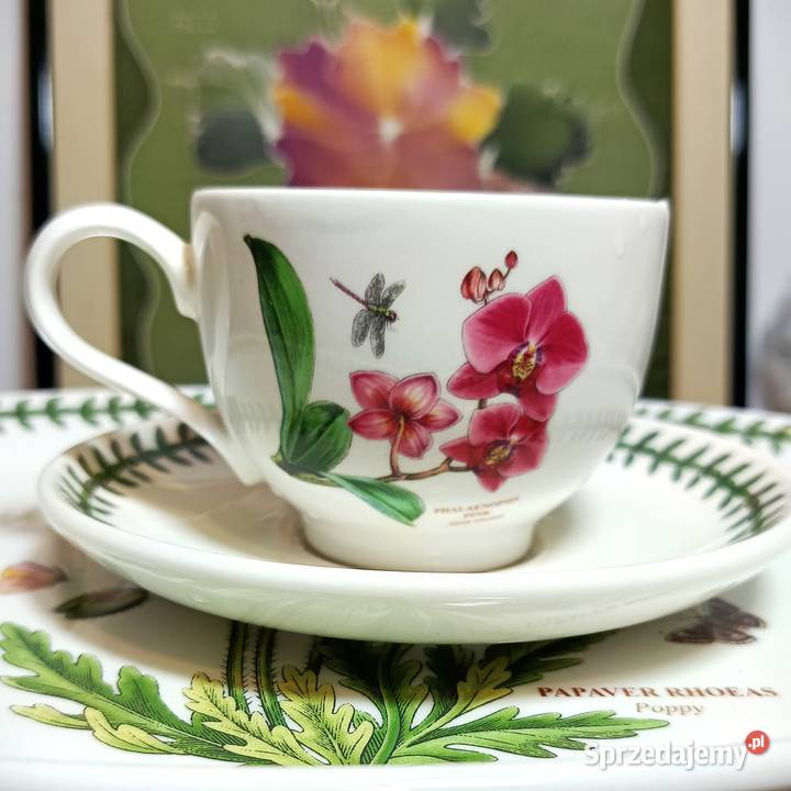 Portmeirion Botanic GardenFiliżanka Szczytno sprzedam
