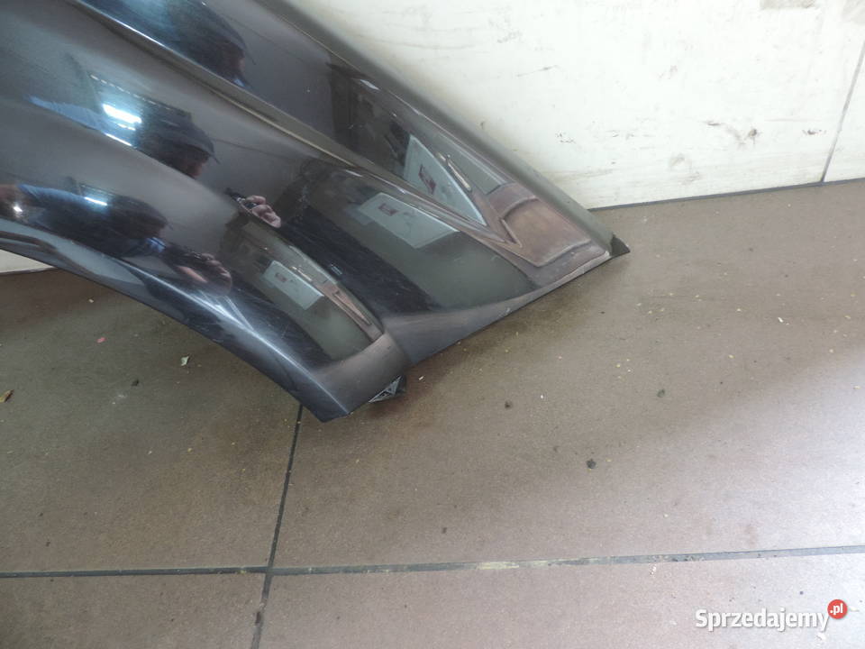 RENAULT MEGANE 2 II FL BŁOTNIK PRAWY PRZEDNI osobowe małopolskie Nowy Sącz