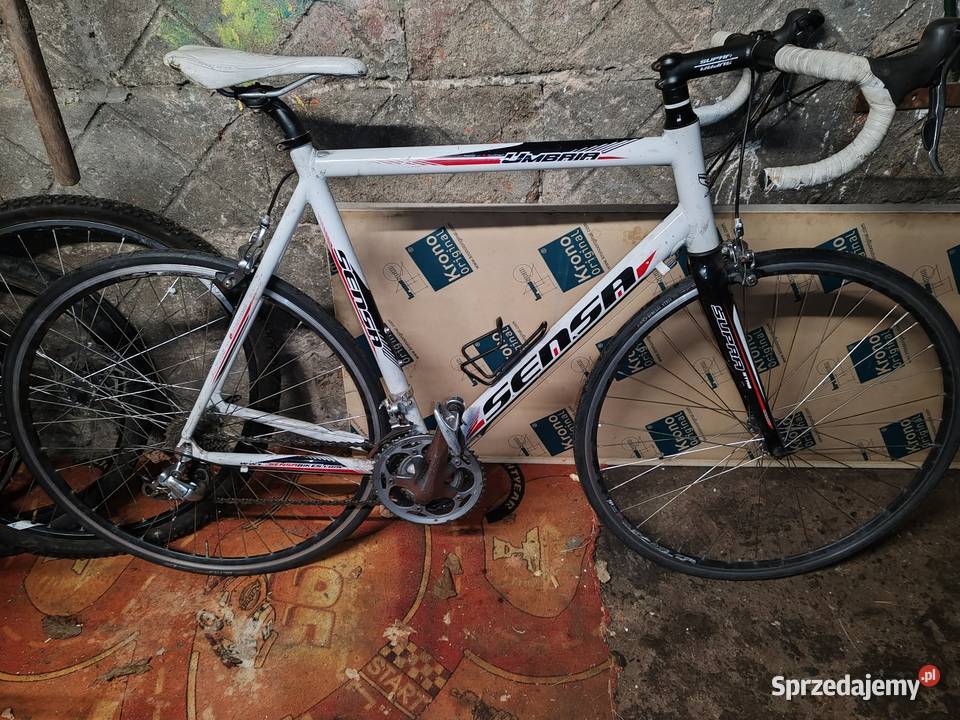 Rower Kolarski 2 sztuki zachodniopomorskie Kamień Pomorski