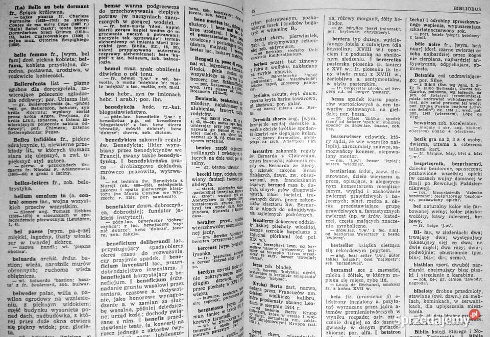 Słownik wyrazów obcych i zwrotów obcojęzycznych Rok wydania 1985 Chełm