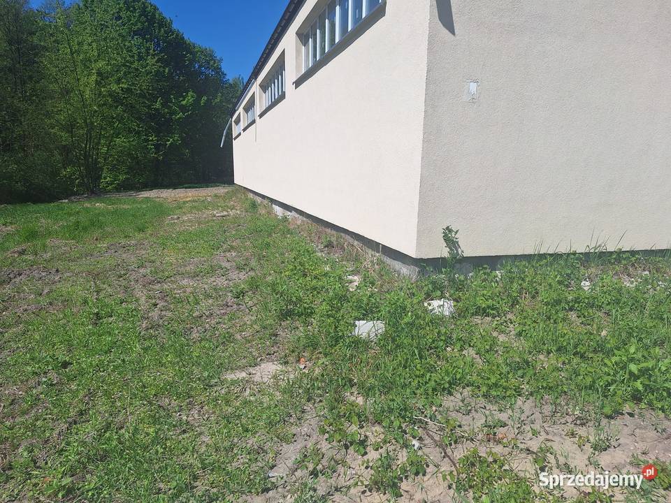 Hala magazyn działka świętokrzyskie Szydłów