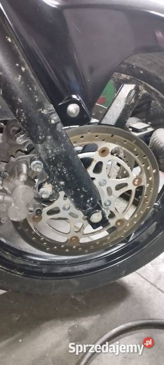 Suzuki DL Suzuki podkarpackie