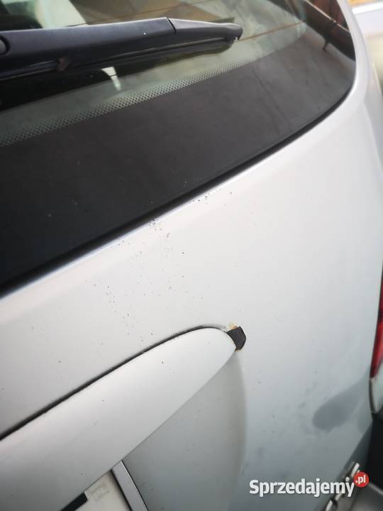 Renault scenik Rok produkcji 2001 sprzedam