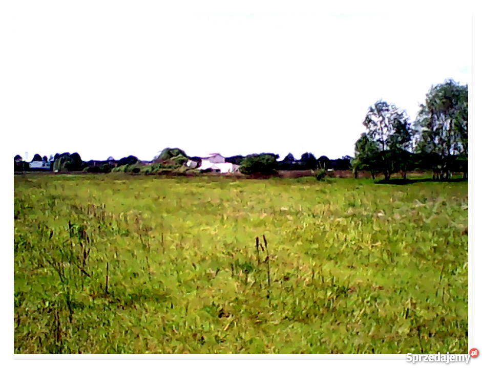 Działka budowlana Kuźnica Podleśna śląskie Warężyn