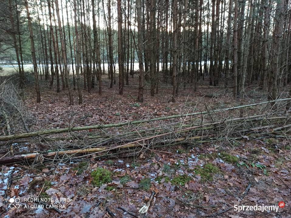 Sprzedam działkę rolną w sąsiedztwie lasów Bocheniec