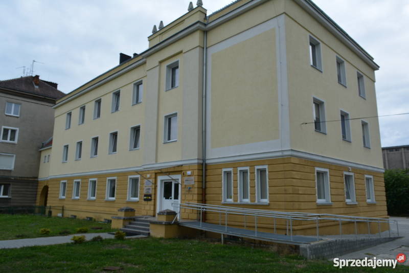 kamienicę w Opolu żywopłot Domy Opole