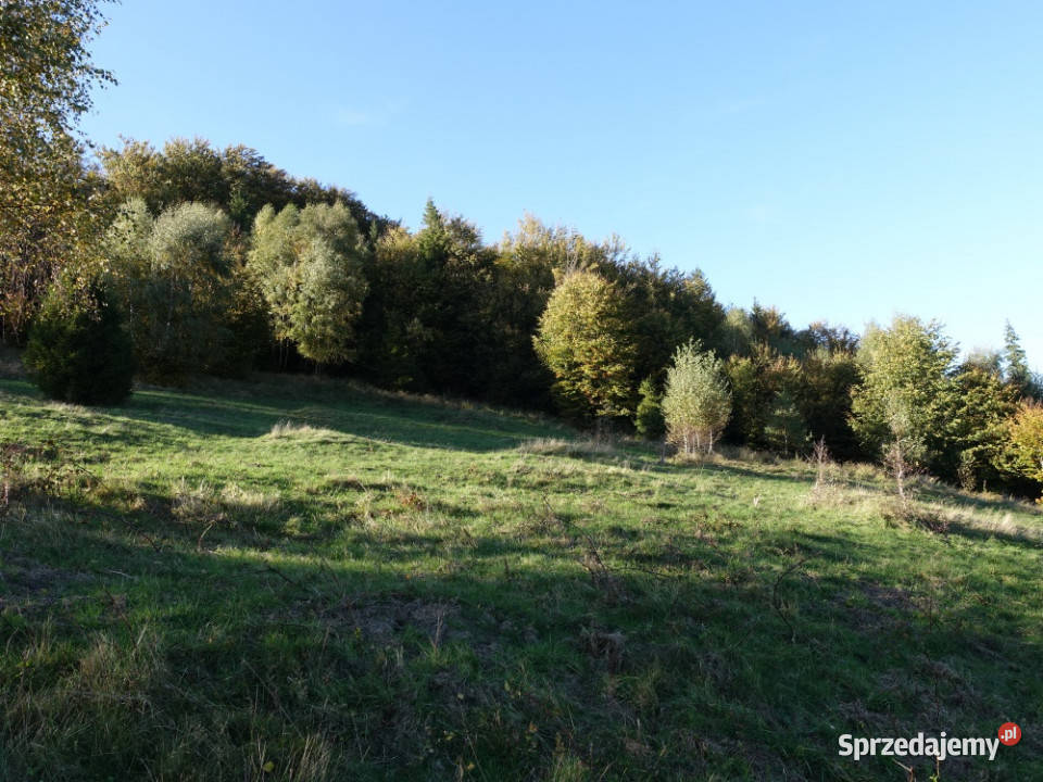 Brenna 253 ha działka inwestycyjna wyciągu