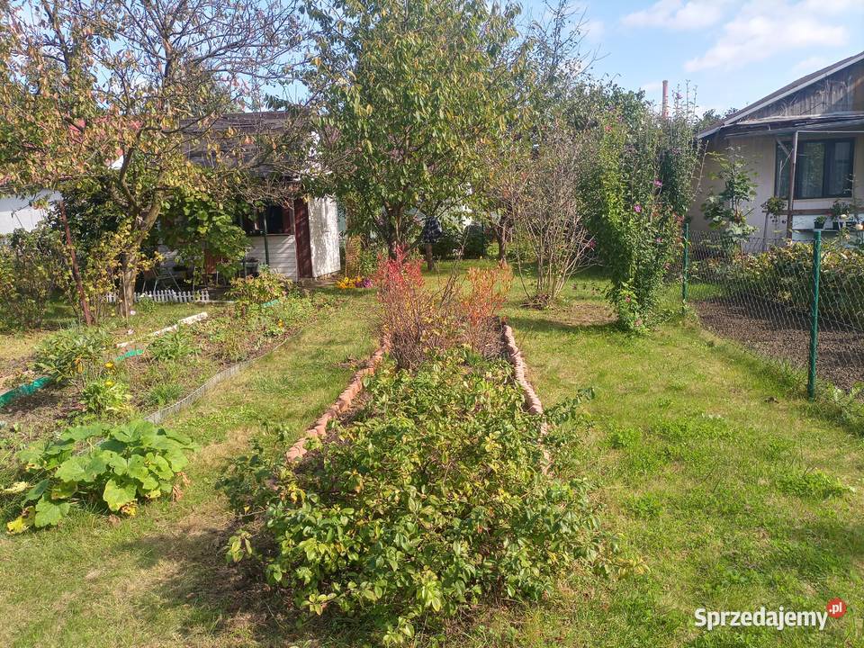 Sprzedam działkę ROD Zakole Wisły 300m2 Sprzedaż