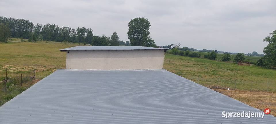 Malowanie DachówŁowicz i łódzkie