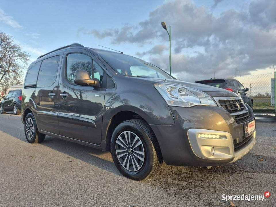 Peugeot Partner 12Turbo 110 Serwisie komputer pokładowy Gniewkowo