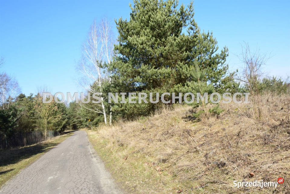 Grunt sprzedam Tworzyjanki 8000m2