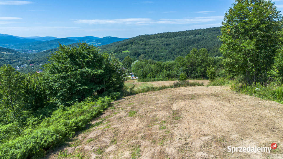 Sprzedam działka 3671m2 Żarnówka os Grapa