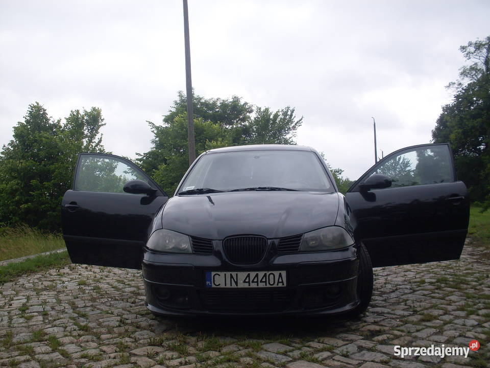 Seat ibiza 19 TDI chip tuning Czarna Bestia 131KM Strzelno