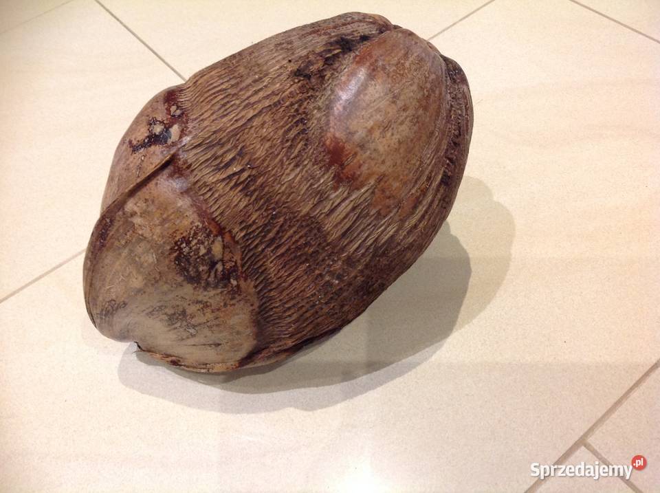 Dekoracja Orzech Kokosowy Brązowy lubuskie Nowa Sól