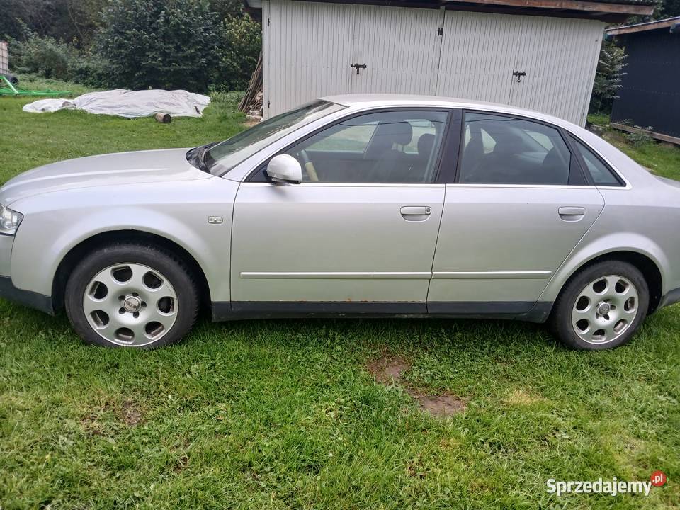 Audi a4b6 19d A4 Jodłowa
