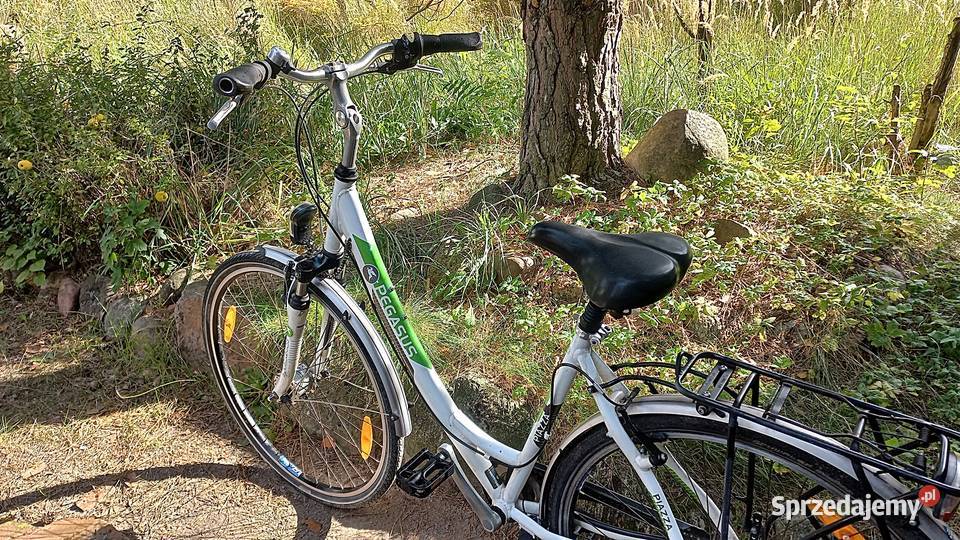 Alu Rower Miejski Damski Pegasus Piazza Damka Miejskie Wołów