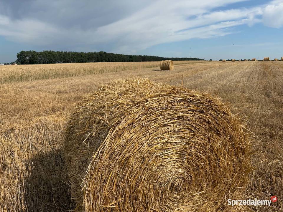 Sprzedam słomę w balach