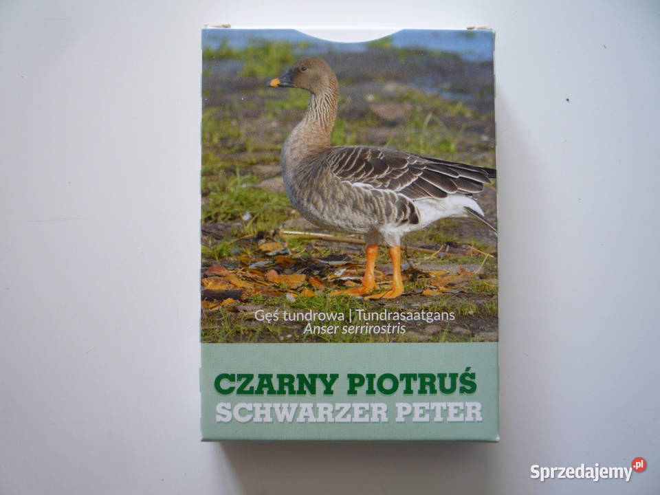 Karty Piotruś Zwierzęta Czarny Piotruś Szczecin