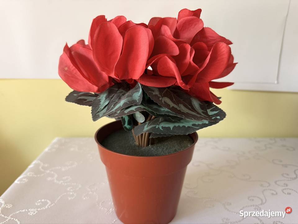 Sztuczny Kwiat Fiołek Alpejski Cyklamen Czerwony Czerwionka-Leszczyny