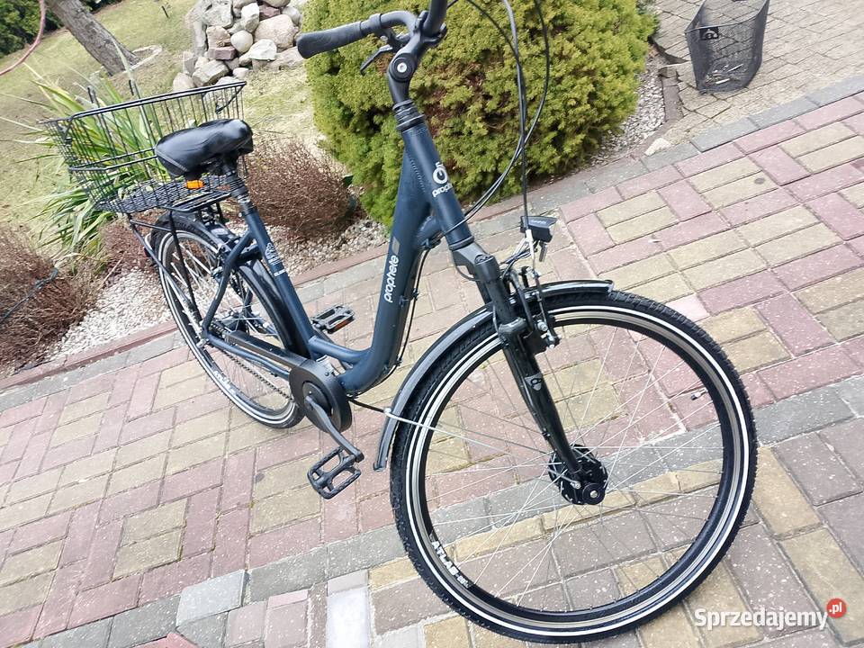 Damka Prophete 28Alu 7 biegów stan