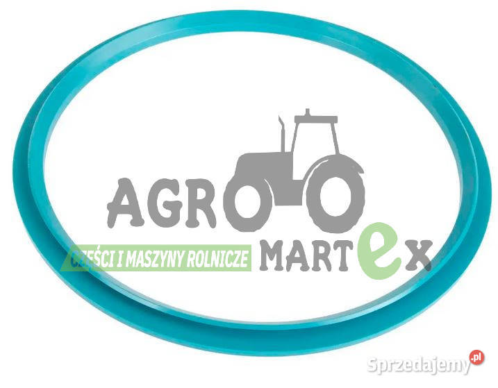 716300050131 PIERŚCIEŃ USZCZELNIAJĄCY FENDT Wichrów